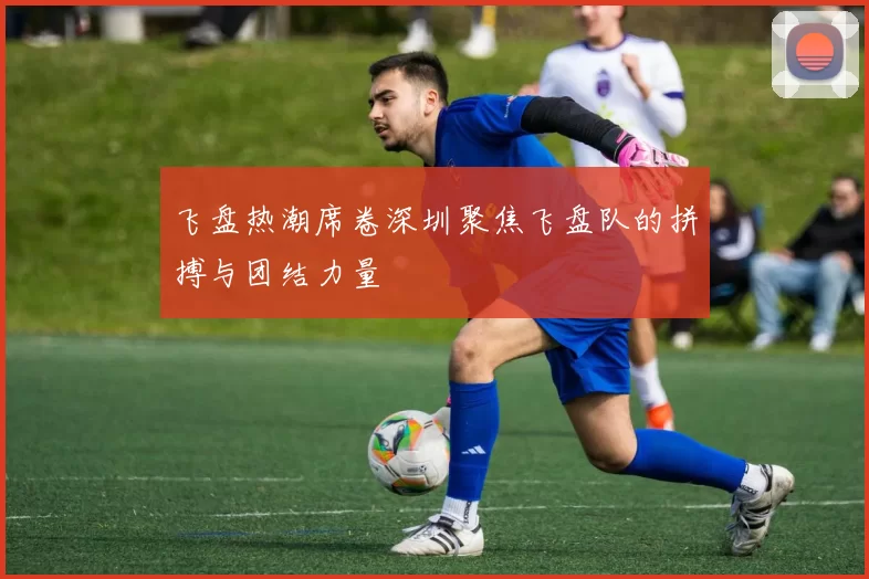 飞盘热潮席卷深圳聚焦飞盘队的拼搏与团结力量