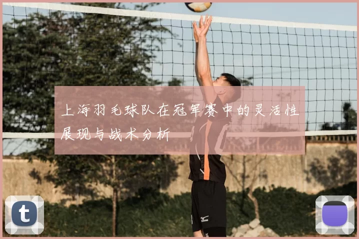 上海羽毛球队在冠军赛中的灵活性展现与战术分析