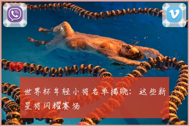 世界杯年轻小将名单揭晓:这些新星将闪耀赛场