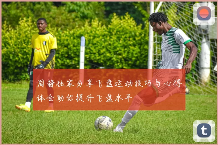 周静独家分享飞盘运动技巧与心得体会助你提升飞盘水平