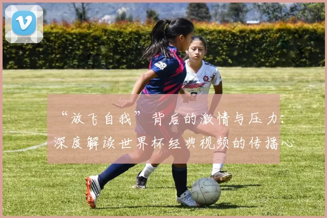 “放飞自我”背后的激情与压力：深度解读世界杯经典视频的传播心理学