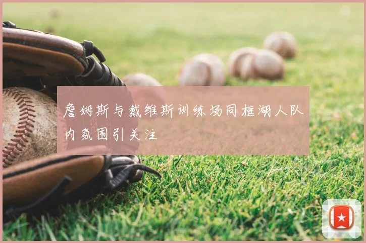 詹姆斯与戴维斯训练场同框湖人队内氛围引关注