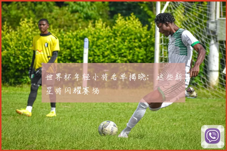 世界杯年轻小将名单揭晓:这些新星将闪耀赛场