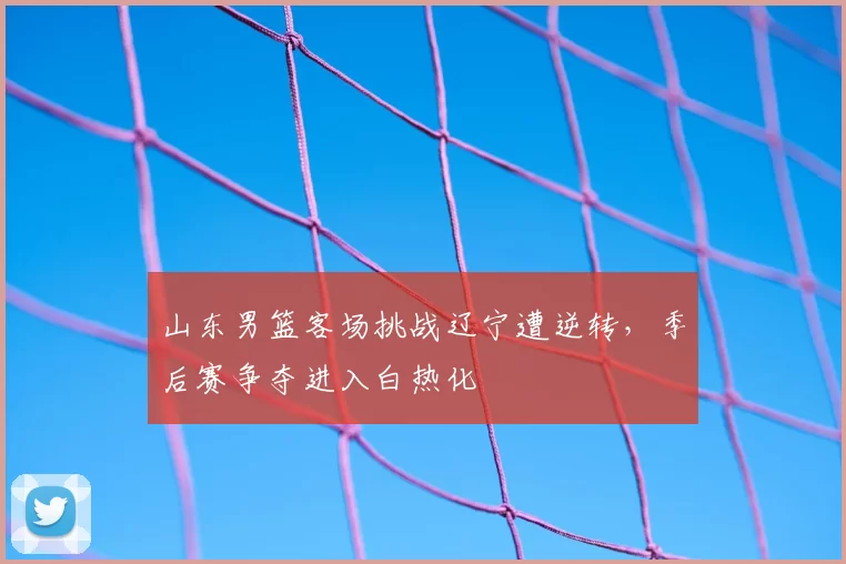 山东男篮客场挑战辽宁遭逆转，季后赛争夺进入白热化