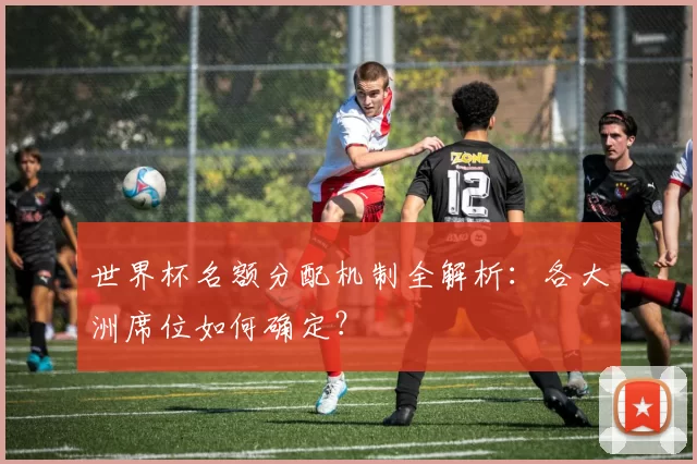 世界杯名额分配机制全解析:各大洲席位如何确定?